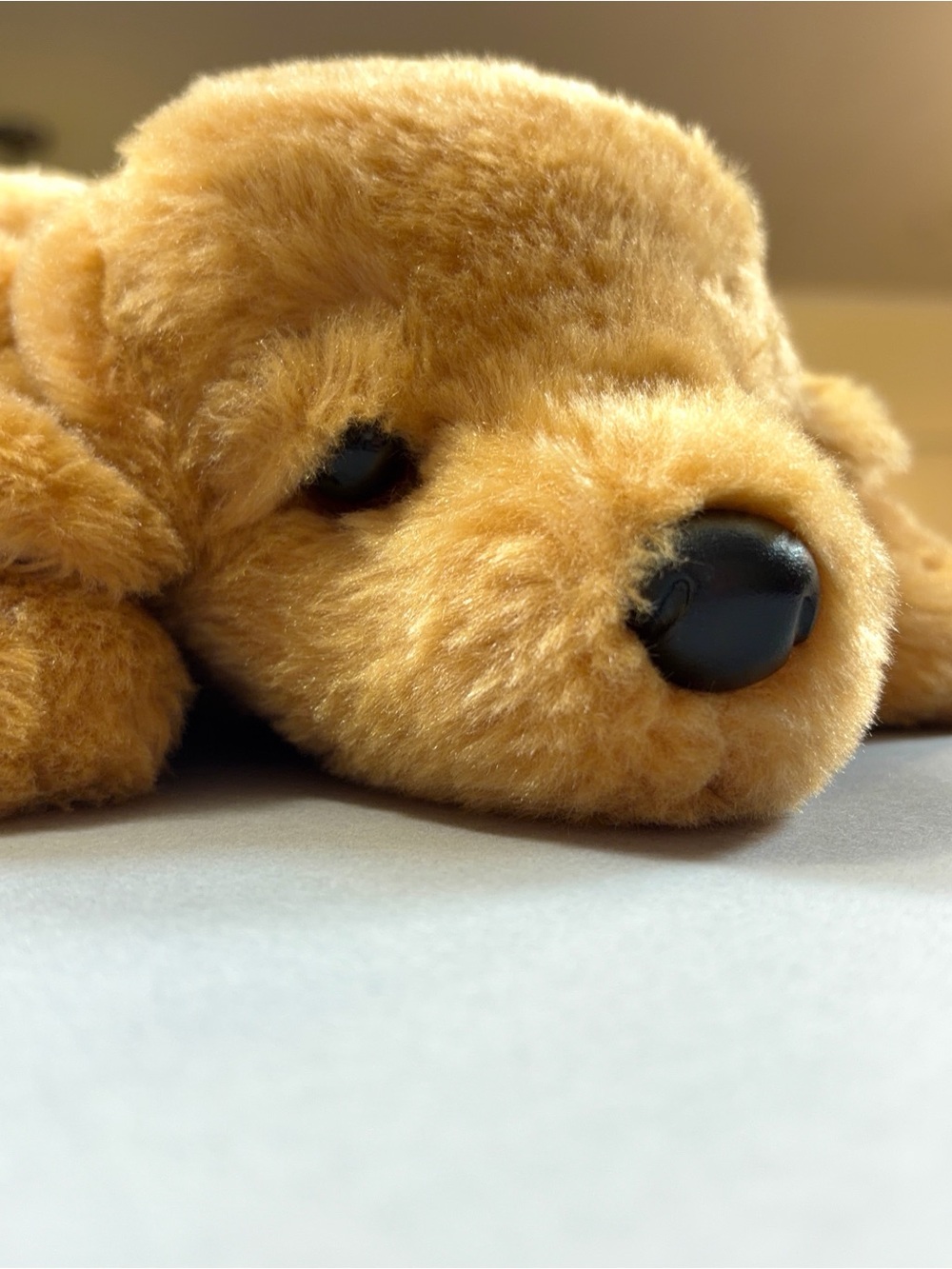 Douglas Tango Floppy Golden Retriever Plush Dog Puppy #1640 Retired Cuddle Toy
